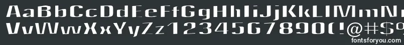 Quantity Font – White Fonts on Black Background
