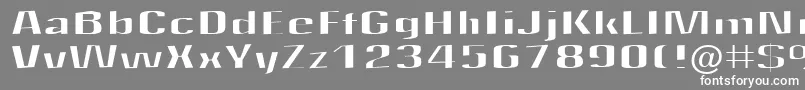 fuente Quantity – Fuentes Blancas Sobre Fondo Gris