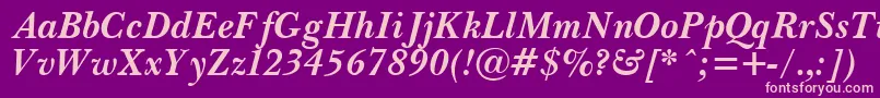 PasmaBoldItalic Font – Pink Fonts on Purple Background