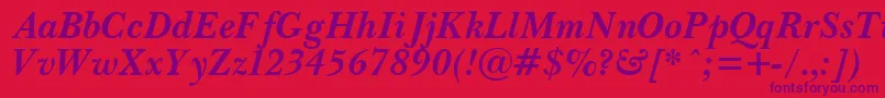 PasmaBoldItalic Font – Purple Fonts on Red Background