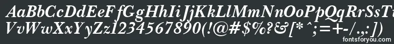 PasmaBoldItalic Font – White Fonts