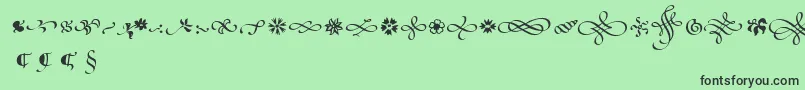 PoeticaSuppOrnaments Font – Black Fonts on Green Background