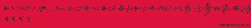 PoeticaSuppOrnaments Font – Black Fonts on Red Background