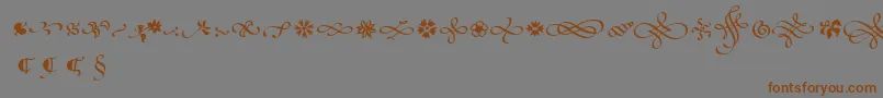 PoeticaSuppOrnaments Font – Brown Fonts on Gray Background