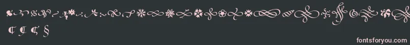 PoeticaSuppOrnaments Font – Pink Fonts on Black Background
