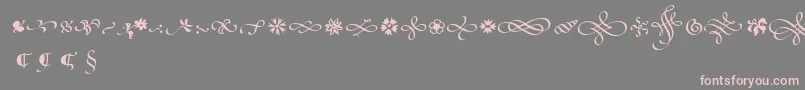 PoeticaSuppOrnaments Font – Pink Fonts on Gray Background