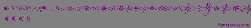 PoeticaSuppOrnaments Font – Purple Fonts on Gray Background