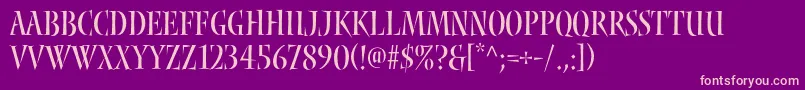 Nyxstd Font – Pink Fonts on Purple Background