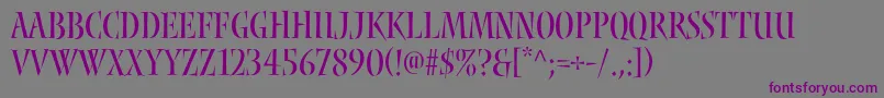 Nyxstd Font – Purple Fonts on Gray Background