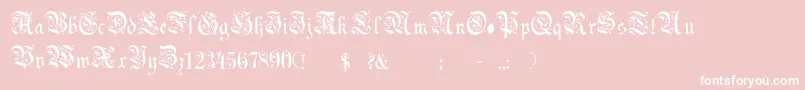 フォントChoolGothic – ピンクの背景に白い文字