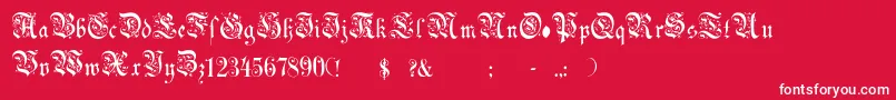 フォントChoolGothic – 赤い背景に白い文字