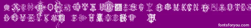 IntellectaMonogramsRandomSamplesFour Font – White Fonts on Purple Background