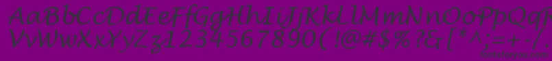 LantulaRegular Font – Black Fonts on Purple Background