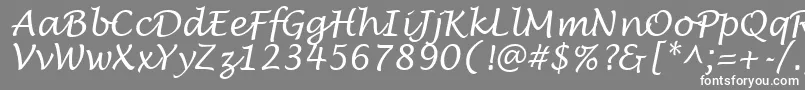 フォントLantulaRegular – 灰色の背景に白い文字