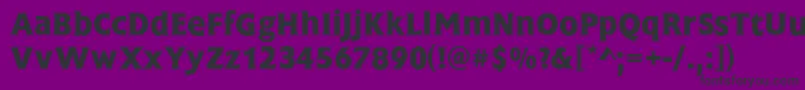 FrascatiMediumRegular Font – Black Fonts on Purple Background