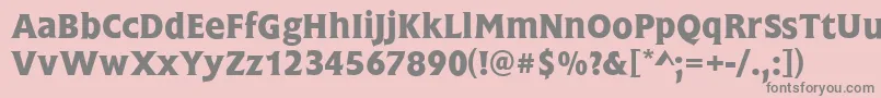 FrascatiMediumRegular Font – Gray Fonts on Pink Background