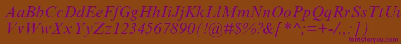 TimesNewRomanCyrItalic Font – Purple Fonts on Brown Background