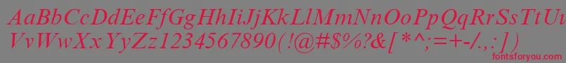 Weitere Informationen zur TimesNewRomanCyrItalic-Schriftart TimesNewRomanCyrItalic-Schriftart – Rote Schriften auf grauem Hintergrund