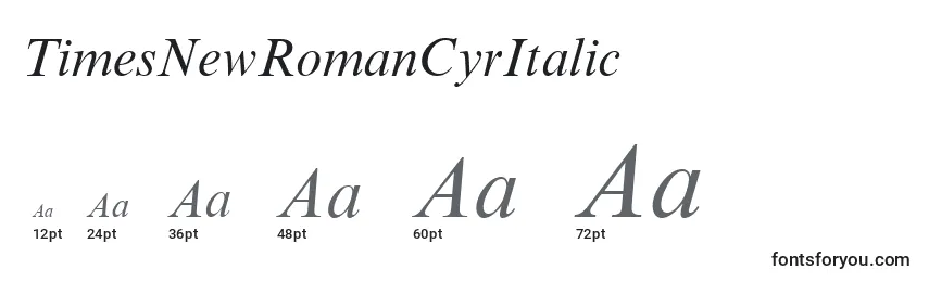 TimesNewRomanCyrItalic Font Sizes