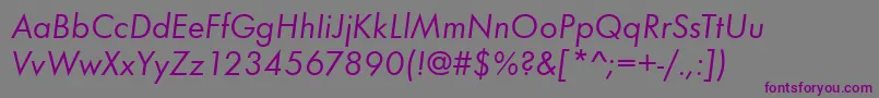 Шрифт FunctionBookitalic – фиолетовые шрифты на сером фоне