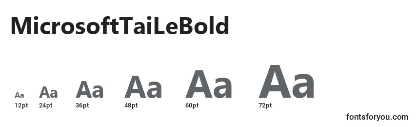Размеры шрифта MicrosoftTaiLeBold