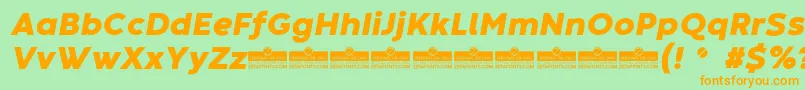 CodecWarmHeavyItalicTrial Font – Orange Fonts on Green Background