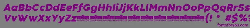 CodecWarmHeavyItalicTrial Font – Purple Fonts on Gray Background