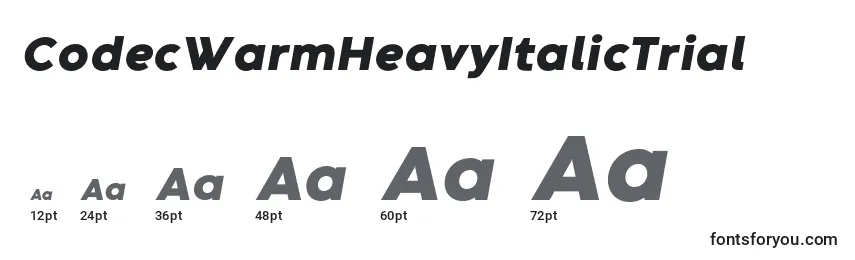 CodecWarmHeavyItalicTrial Font Sizes