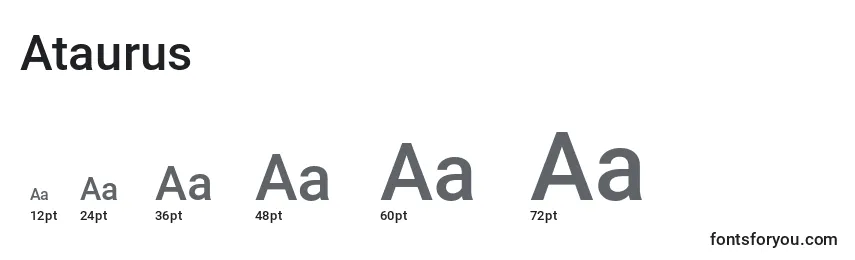Размеры шрифта Ataurus