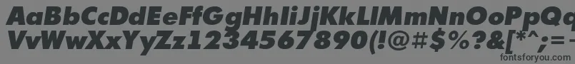 フォントAFuturicaextrablackItalic – 黒い文字の灰色の背景