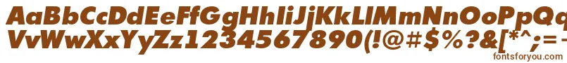 AFuturicaextrablackItalic-fontti – ruskeat fontit valkoisella taustalla