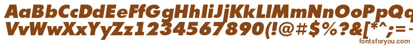 Czcionka AFuturicaextrablackItalic – brązowe czcionki na białym tle