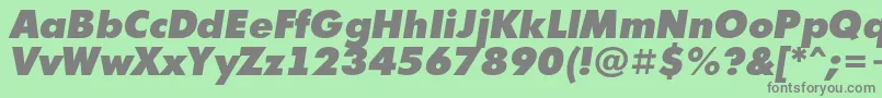 フォントAFuturicaextrablackItalic – 緑の背景に灰色の文字