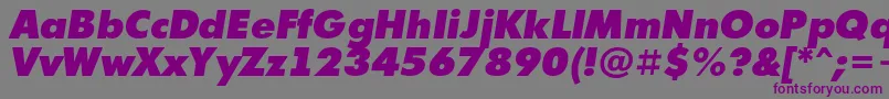 Шрифт AFuturicaextrablackItalic – фиолетовые шрифты на сером фоне