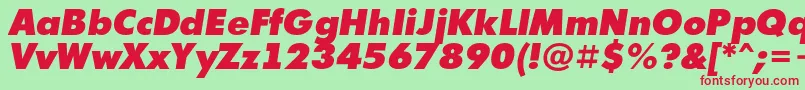 AFuturicaextrablackItalic Font – Red Fonts on Green Background