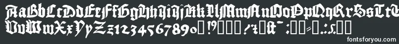 1456gutenberg Font – White Fonts on Black Background