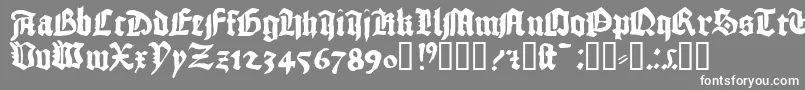 1456gutenberg Font – White Fonts on Gray Background