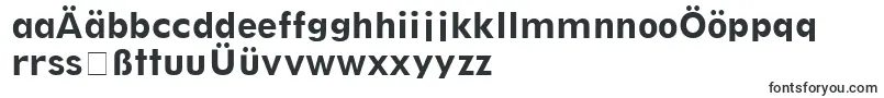 Шрифт ThinxSsiBold – немецкие шрифты