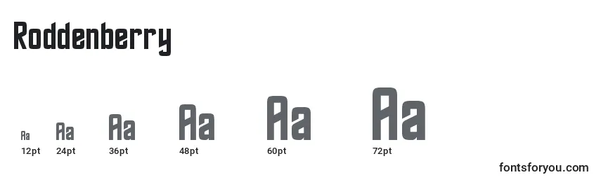 Roddenberry Font Sizes