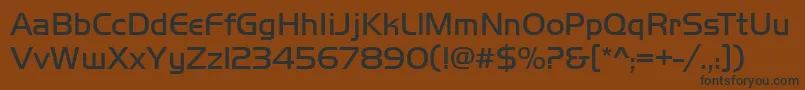 HuntingtonLightRegular Font – Black Fonts on Brown Background