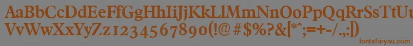FranciscoserialBold Font – Brown Fonts on Gray Background