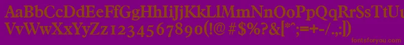 FranciscoserialBold Font – Brown Fonts on Purple Background