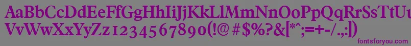 FranciscoserialBold Font – Purple Fonts on Gray Background