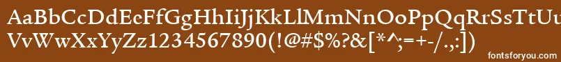 ItcLegacySerifLtMedium Font – White Fonts on Brown Background