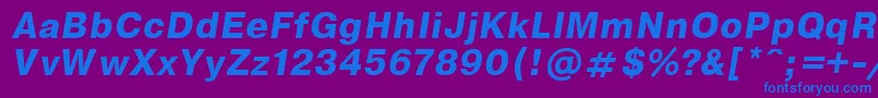 EncyclopaediaBoldItalic.001.001 Font – Blue Fonts on Purple Background