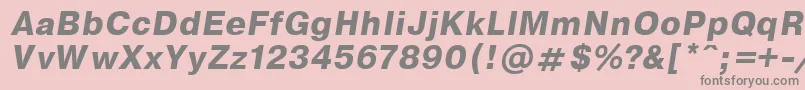 EncyclopaediaBoldItalic.001.001 Font – Gray Fonts on Pink Background