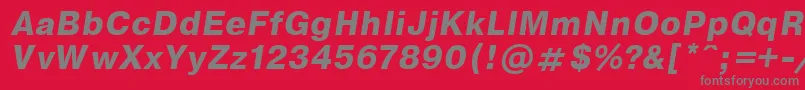 EncyclopaediaBoldItalic.001.001 Font – Gray Fonts on Red Background