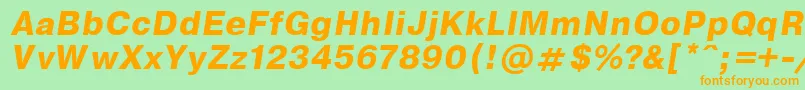 EncyclopaediaBoldItalic.001.001 Font – Orange Fonts on Green Background