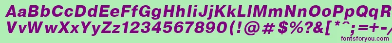 EncyclopaediaBoldItalic.001.001 Font – Purple Fonts on Green Background