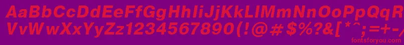 EncyclopaediaBoldItalic.001.001 Font – Red Fonts on Purple Background